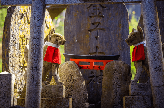 visite-kyoto-capitale-historique