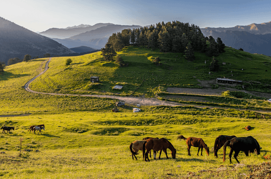 montagnes-caucasienne-Kazbeki