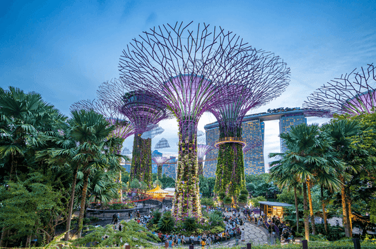 Singapour-Gardens-by-the-Bay