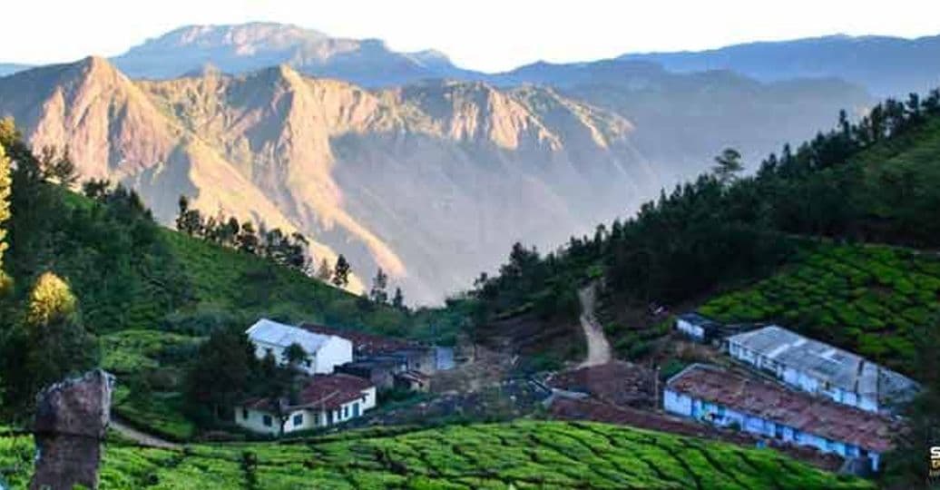 munnar-tea-trail-at-worlds-highest-organic-tea-plantation.htm