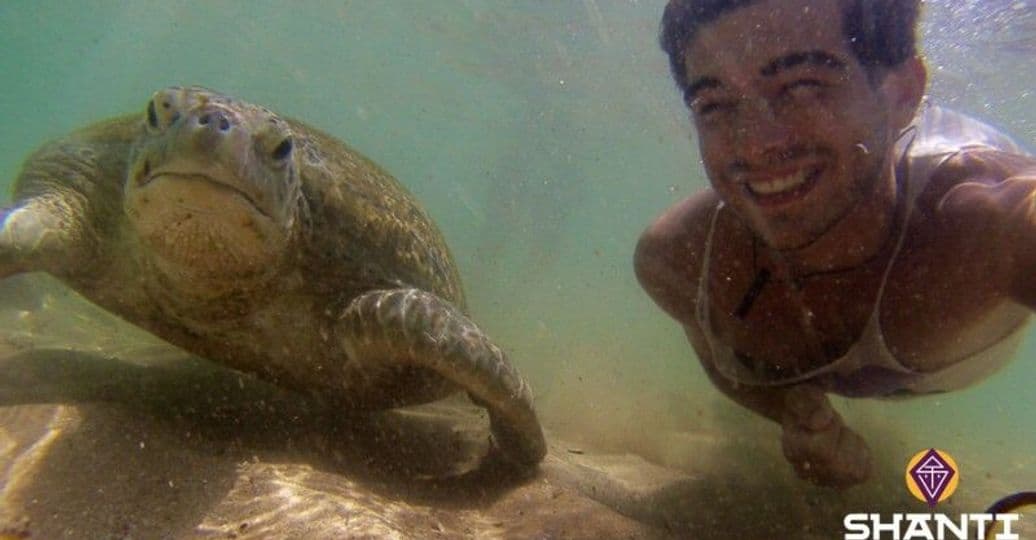 nager-avec-les-tortues-sur-la-plage-du-sri-lanka.htm