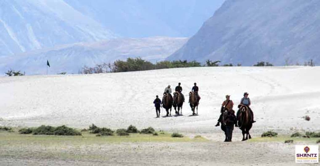 adventure-awaits-cold-desert-safari-in-nubra-valley.htm