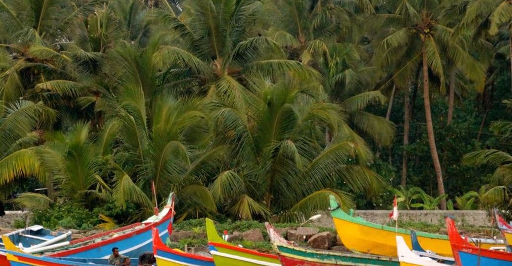 decouverte-des-backwaters-pendant-la-mousson.htm