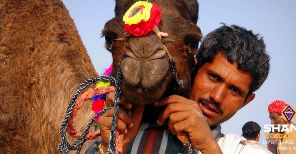 delhi-accueil-shanti-travel-les-expats-la-foire-de-pushkar.htm