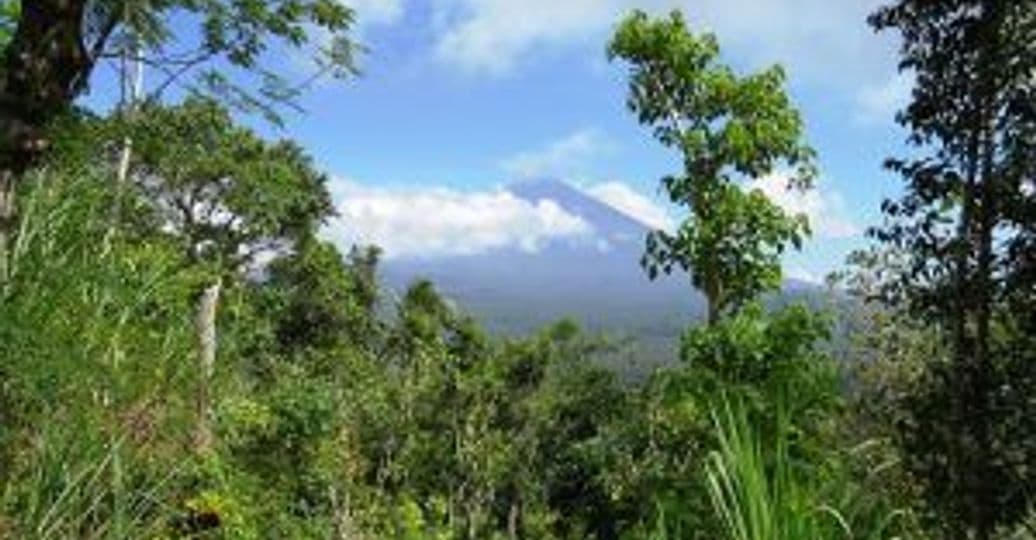 visite-refugies-mont-agung-bali.htm