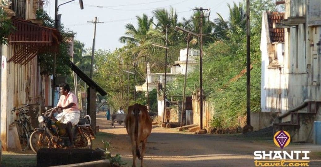 la-region-du-chettinad-une-etape-pour-decouvrir-le-tamil-nadu-autrement.htm