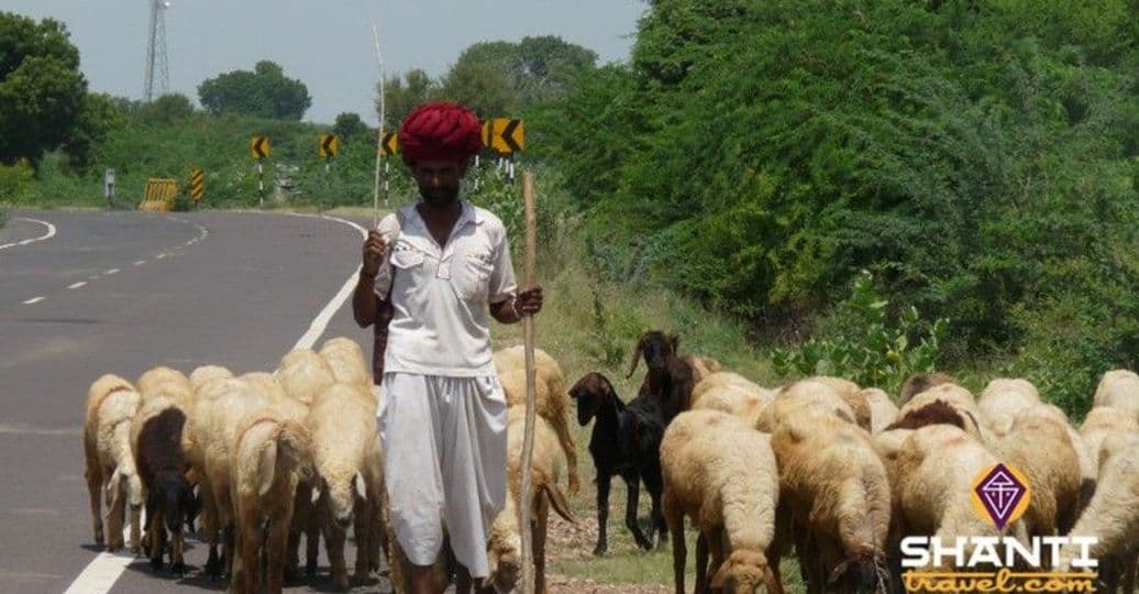 sur-la-route-du-rajasthan-de-jaipur-agra.htm