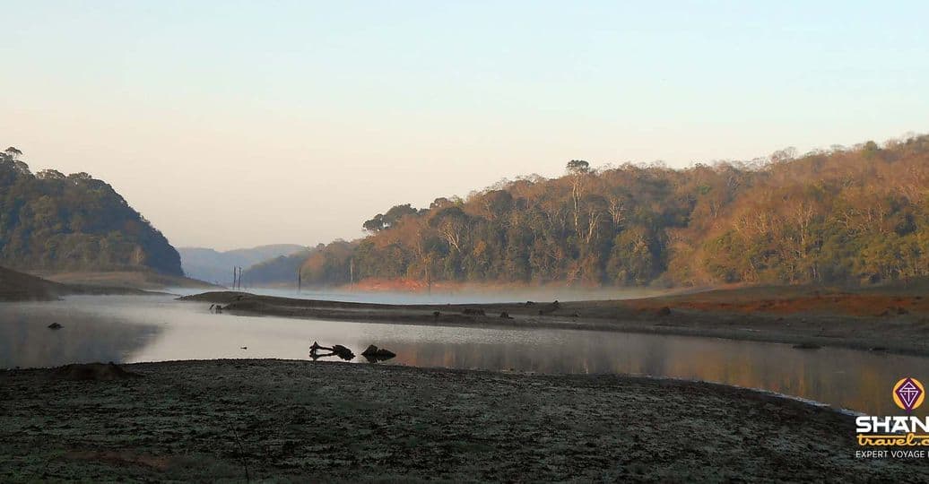 periyar-vie-sauvage-kerala.htm