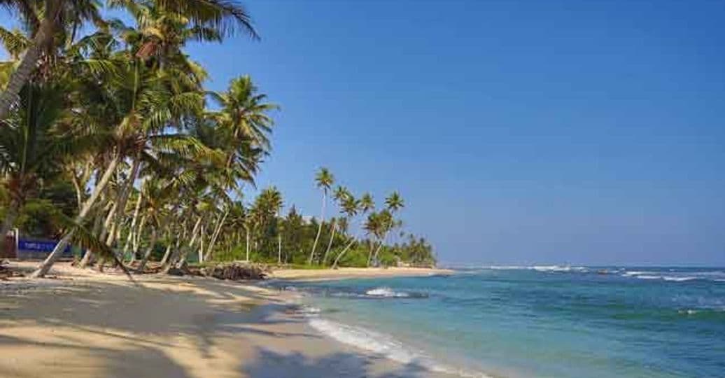 the-activities-offered-in-sri-lankan-beaches.htm