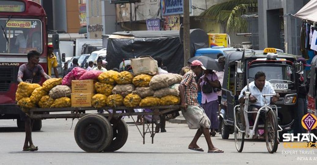 voyager-avec-un-chauffeur-au-sri-lanka.htm