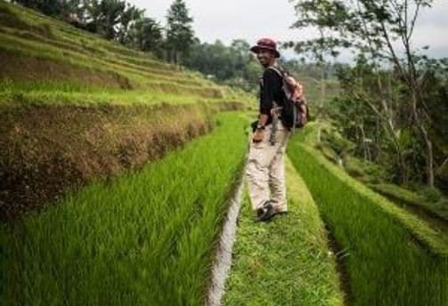 koffer-packen-fur-Indonesien