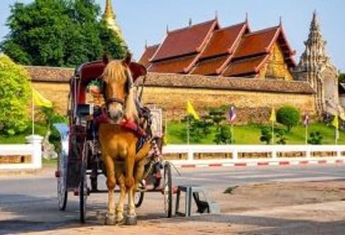 quand-partir-en-thailande