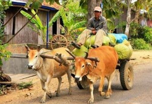 se-deplacer-cambodge