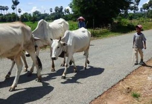 sortir-sentiers-battus-cambodge