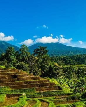 bali-in-the-heart-of-nature