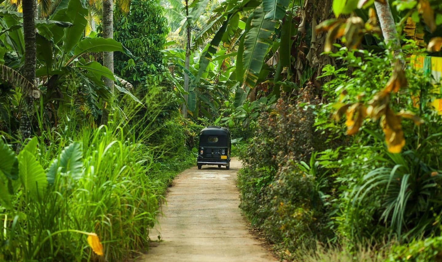 inde-du-sud-au-sri-lanka