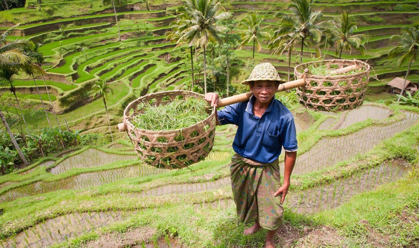 immersion-bali