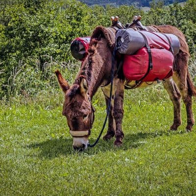 rando-ane-cevennes