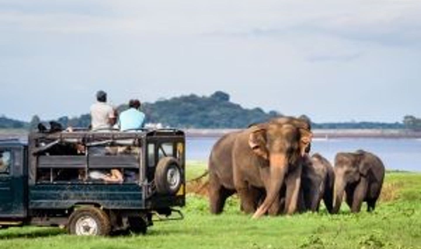 ceylon-nature-and-wildlife