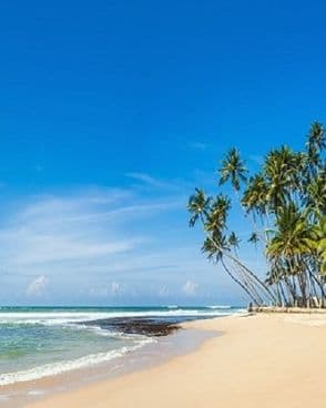 sri-lanka-rundreise-urlaub-sommer