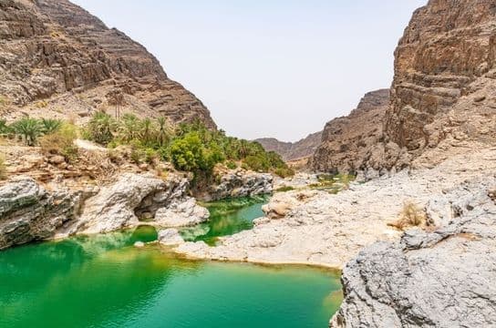 famille-oman