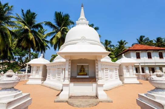 slow-travel-sri-lanka