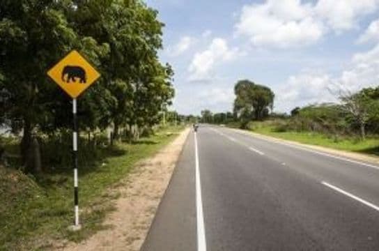 exploring-south-sri-lanka