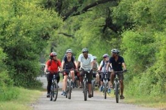 cycle-through-kerala