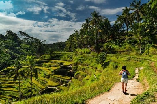 rice-fields-of-bali-to-komodo-dragons