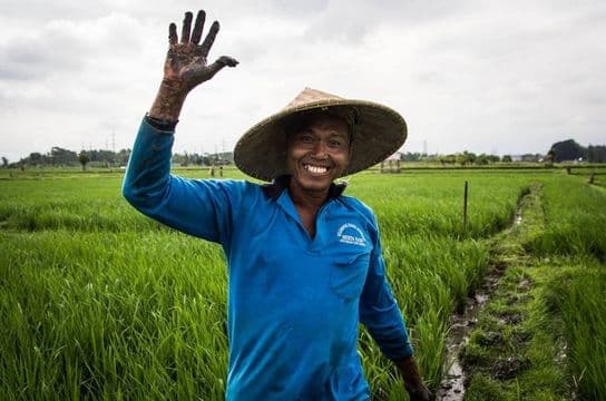 rice-fields-of-bali-to-komodo-dragons